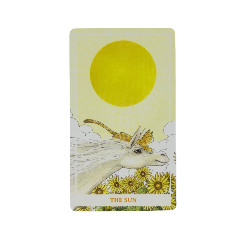 Sunny Orange Cat Tarot Cards A - Tarot Deck With Guidebook review and price