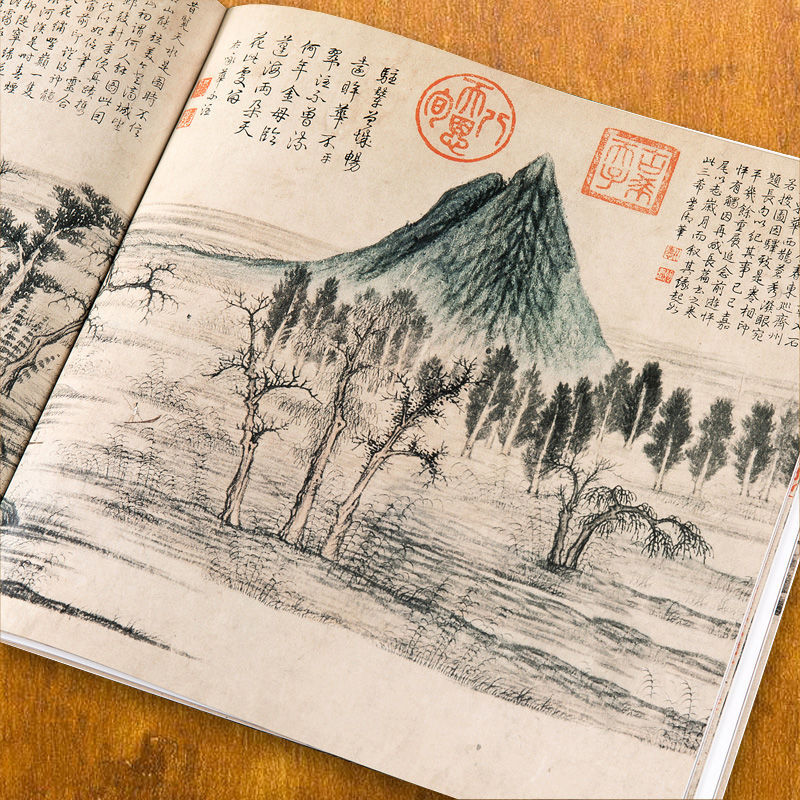 Qi Baishi Freehand Painting Bo - Chinese Calligraphy Practice Book review and price