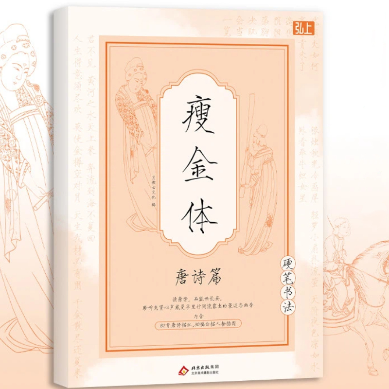 Chinese Writing  book Song Hui - Chinese Calligraphy Practice Book review and price