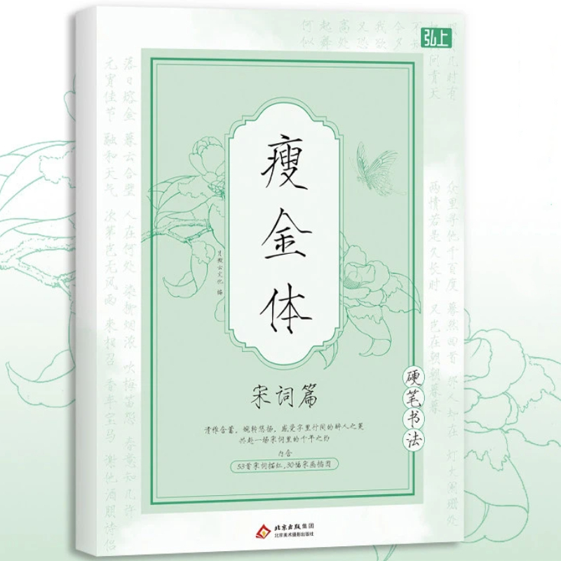 Chinese Writing  book Song Hui - Chinese Calligraphy Practice Book review and price