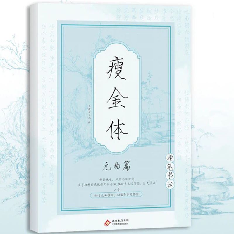 Chinese Writing  book Song Hui - Chinese Calligraphy Practice Book review and price